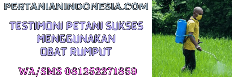 testimoni,petani,pestisida,herbisida,pertanian indonesia